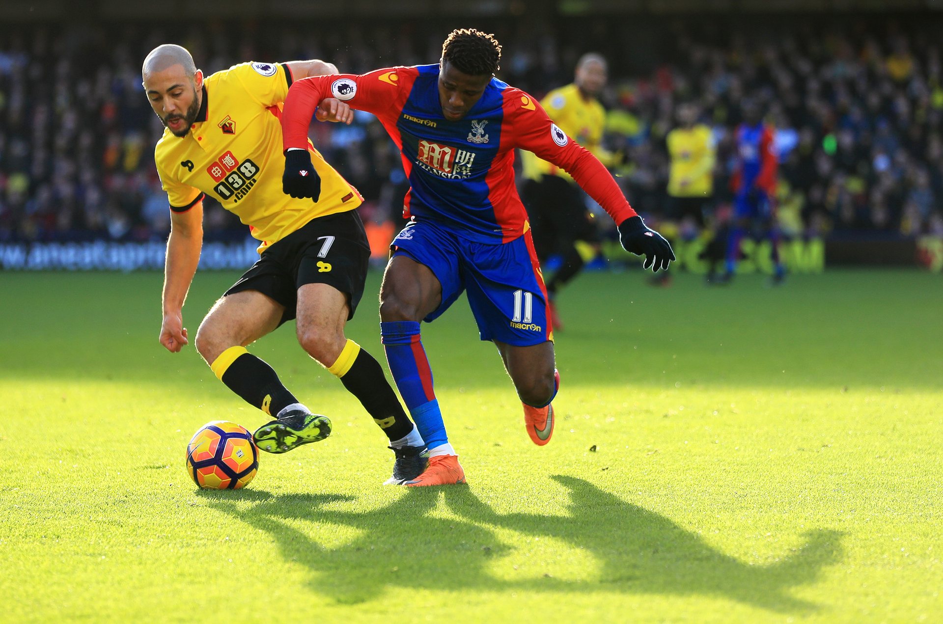 延伸到每一 延伸到每一